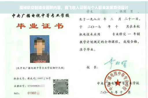 揭秘航空制造业薪酬内幕，商飞收入证明与个人职业发展路径探讨
