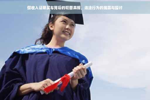 假收入证明买车背后的犯罪真相，违法行为的揭露与探讨