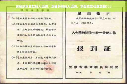 详解纳税贷款收入证明，正确开具收入证明，享受贷款优惠攻略?⚡️