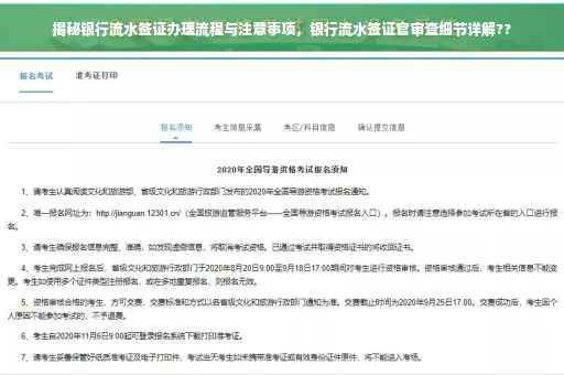 揭秘银行流水签证办理流程与注意事项，银行流水签证官审查细节详解??