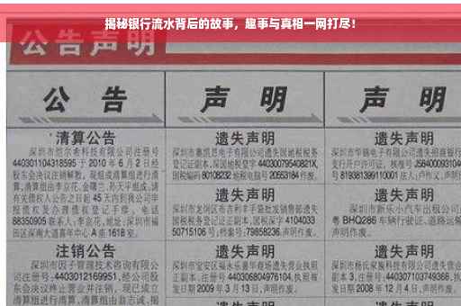 揭秘银行流水背后的故事，趣事与真相一网打尽！