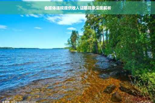 自媒体违规提供收入证明现象深度解析