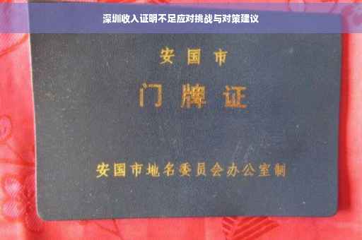 深圳收入证明不足应对挑战与对策建议