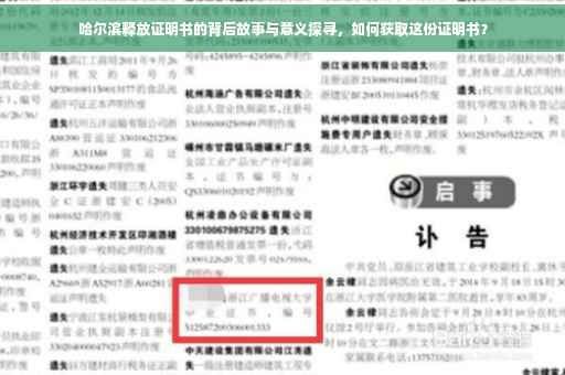 哈尔滨释放证明书的背后故事与意义探寻，如何获取这份证明书？