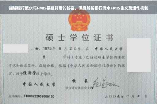 揭秘银行流水与FMIS系统背后的秘密，深度解析银行流水FMIS含义及运作机制