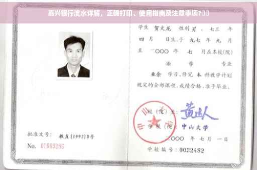 嘉兴银行流水详解，正确打印、使用指南及注意事项?⚡️