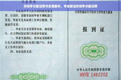 灰指甲诊断证明书全面解析，专业解读灰指甲诊断证明