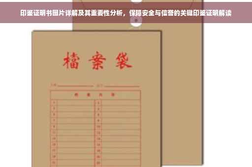 印鉴证明书图片详解及其重要性分析，保障安全与信誉的关键印鉴证明解读