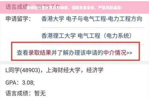 揭秘银行流水背后的秘密，保障资金安全，严防风险漏洞！