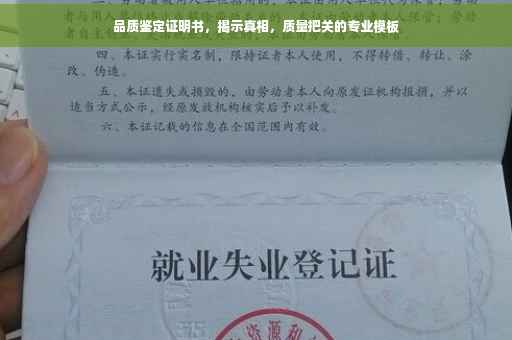 品质鉴定证明书，揭示真相，质量把关的专业模板