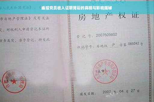 虚报党员收入证明背后的真相与影响揭秘