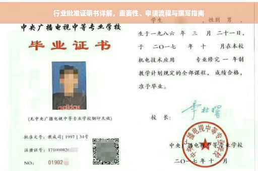 行业批准证明书详解，重要性、申请流程与撰写指南
