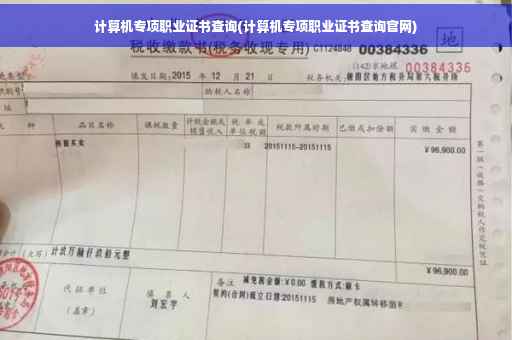 计算机专项职业证书查询(计算机专项职业证书查询官网)