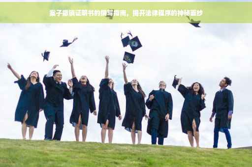 案子撤销证明书的撰写指南，揭开法律程序的神秘面纱