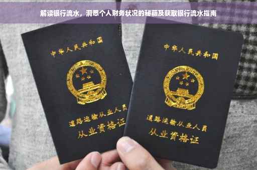 解读银行流水，洞悉个人财务状况的秘籍及获取银行流水指南