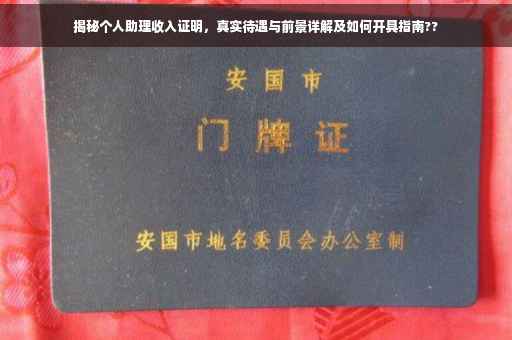 揭秘个人助理收入证明，真实待遇与前景详解及如何开具指南??