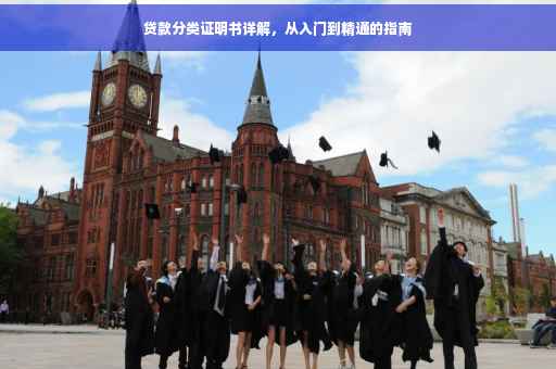 贷款分类证明书详解，从入门到精通的指南
