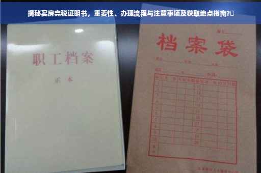 揭秘买房完税证明书，重要性、办理流程与注意事项及获取地点指南?✨