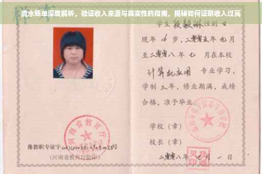 流水账单深度解析，验证收入来源与真实性的指南，揭秘如何证明收入过高