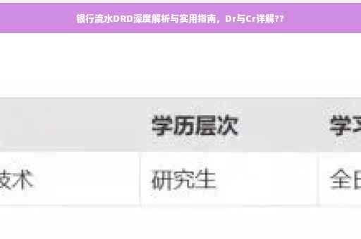 银行流水DRD深度解析与实用指南，Dr与Cr详解??