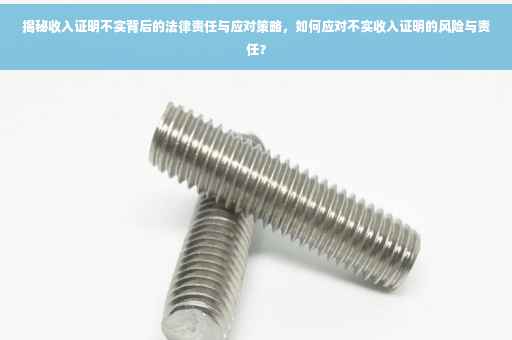 揭秘收入证明不实背后的法律责任与应对策略，如何应对不实收入证明的风险与责任？