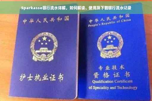 Sparkasse银行流水详解，如何解读、使用及下载银行流水记录