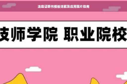法庭证明书模板详解及应用图片指南