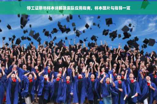 停工证明书样本详解及实际应用指南，样本图片与指导一览
