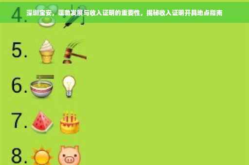 深圳宝安，蓬勃发展与收入证明的重要性，揭秘收入证明开具地点指南