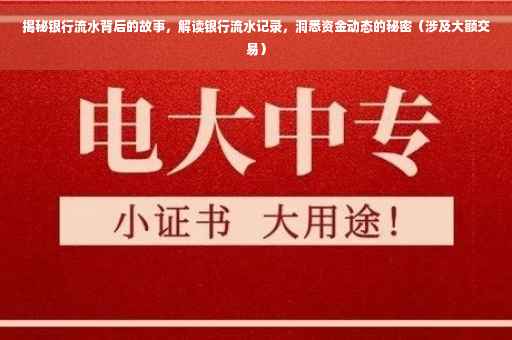 揭秘银行流水背后的故事，解读银行流水记录，洞悉资金动态的秘密（涉及大额交易）