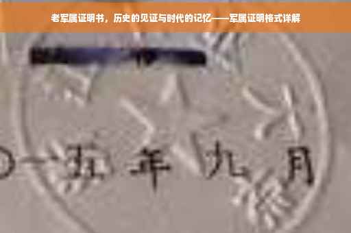 老军属证明书，历史的见证与时代的记忆——军属证明格式详解