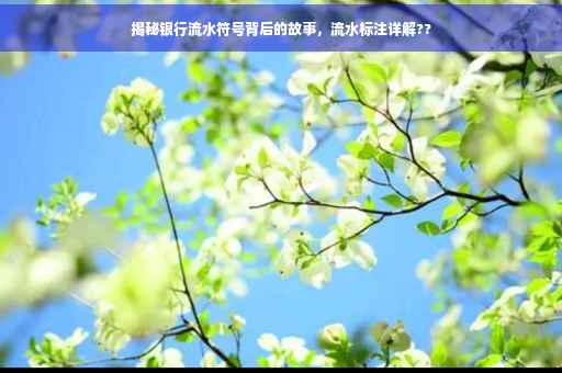 揭秘银行流水符号背后的故事，流水标注详解??