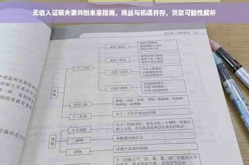 无收入证明夫妻共创未来指南，挑战与机遇并存，贷款可能性解析