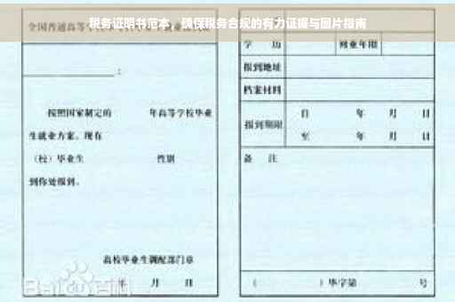 税务证明书范本，确保税务合规的有力证据与图片指南