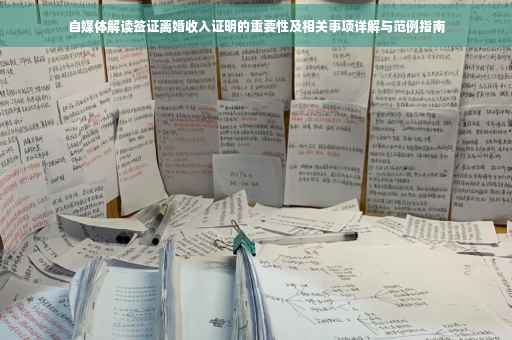 自媒体解读签证离婚收入证明的重要性及相关事项详解与范例指南