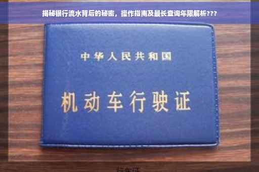 揭秘银行流水背后的秘密，操作指南及最长查询年限解析???