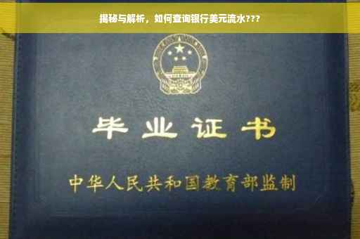 揭秘与解析，如何查询银行美元流水???