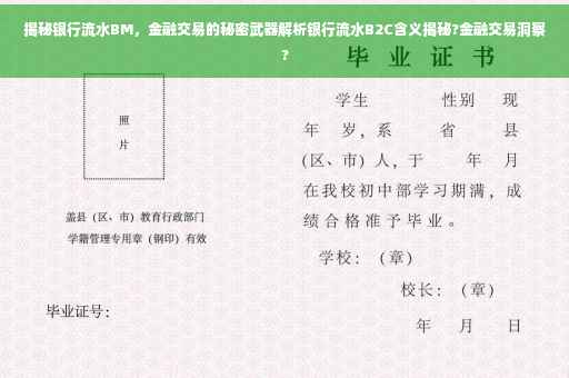 揭秘银行流水BM，金融交易的秘密武器解析银行流水B2C含义揭秘?金融交易洞察?