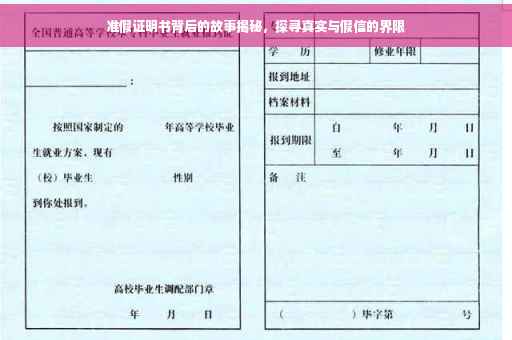 准假证明书背后的故事揭秘，探寻真实与假信的界限