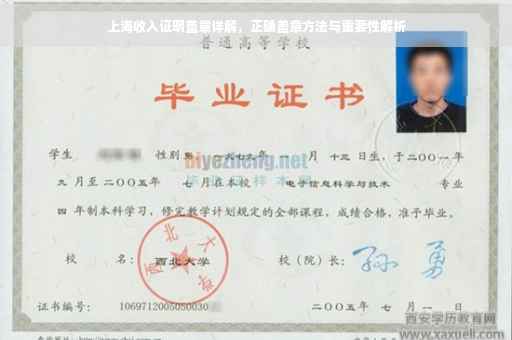 上海收入证明盖章详解，正确盖章方法与重要性解析
