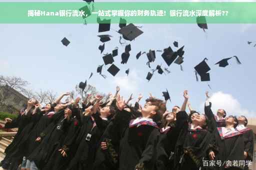 揭秘Hana银行流水，一站式掌握你的财务轨迹！银行流水深度解析??