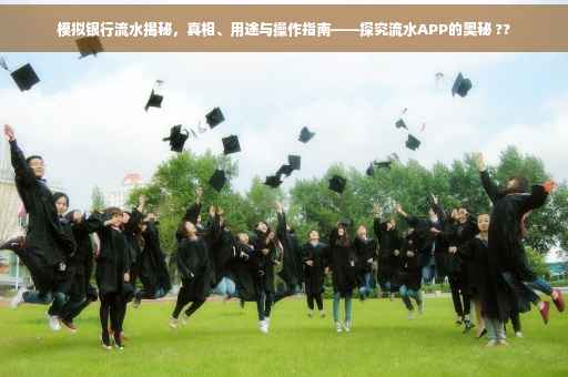模拟银行流水揭秘，真相、用途与操作指南——探究流水APP的奥秘 ??