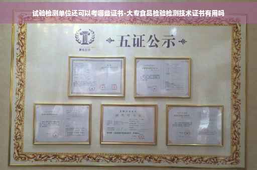 试验检测单位还可以考哪些证书-大专食品检验检测技术证书有用吗