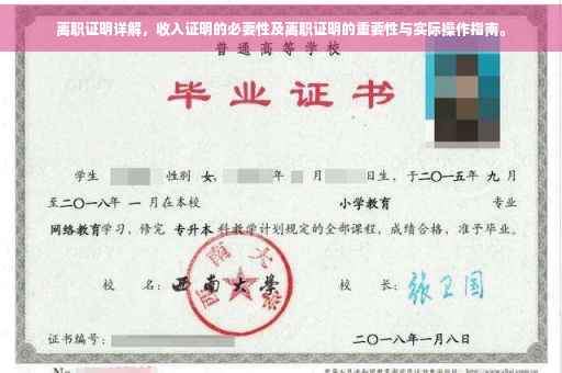 离职证明详解，收入证明的必要性及离职证明的重要性与实际操作指南。