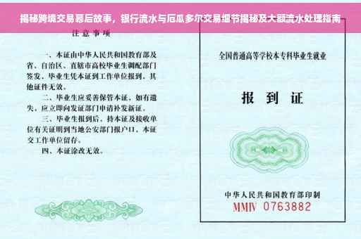 揭秘跨境交易幕后故事，银行流水与厄瓜多尔交易细节揭秘及大额流水处理指南