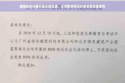 揭秘股东与银行流水的关系，公司税务背后的故事及其重要性