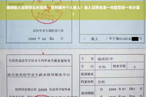 揭秘收入证明背后的真相，如何提升个人收入？收入证明未满一年能否按一年计算？