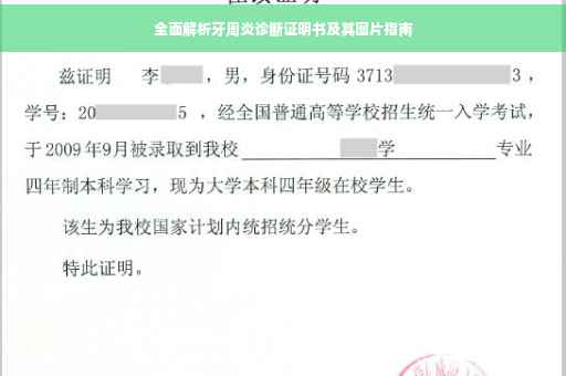 全面解析牙周炎诊断证明书及其图片指南
