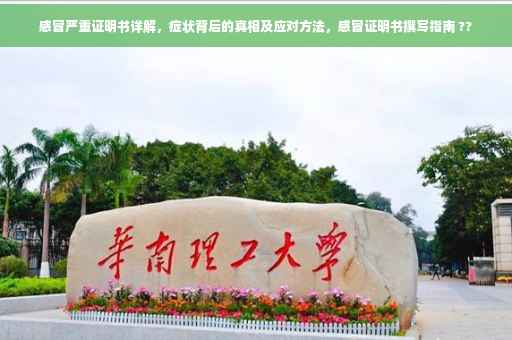 感冒严重证明书详解，症状背后的真相及应对方法，感冒证明书撰写指南 ??