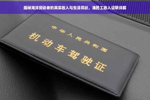 揭秘海洋劳动者的真实收入与生活现状，渔民工收入证明详解